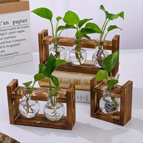 Hydroponische Vase und Holzstütze